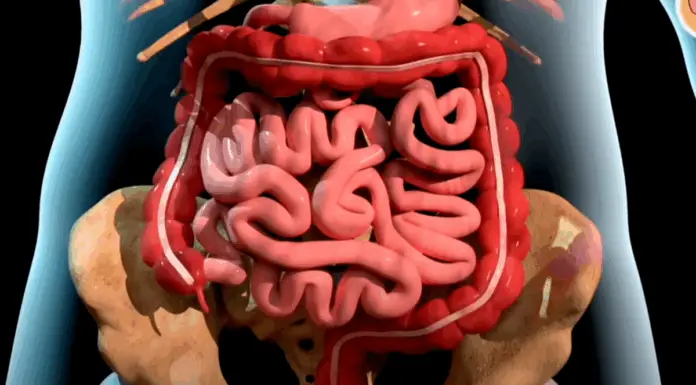 Striking simulation illustrates the progression of death from cancer