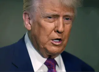 Trump’s niece warns he’ll want to be ‘president for life’ if re-elected