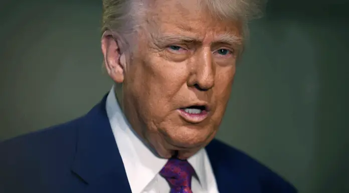 Trump’s niece warns he’ll want to be ‘president for life’ if re-elected