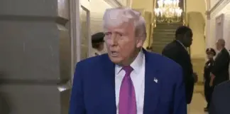 Trump has savage 5-word response to reporter after learning where he worked