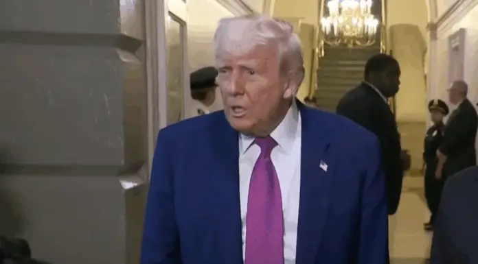 Trump has savage 5-word response to reporter after learning where he worked