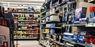 The dog named Hope who changed my life