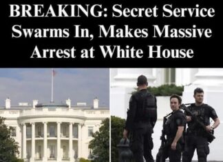 Fence breach at White House sparks Secret Service response