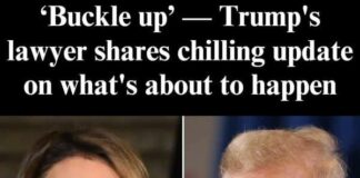 Federal workers not aligned with ‘America First’ will be let go, Alina Habba warns