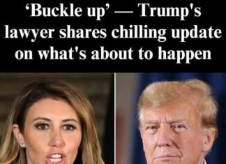 Federal workers not aligned with ‘America First’ will be let go, Alina Habba warns