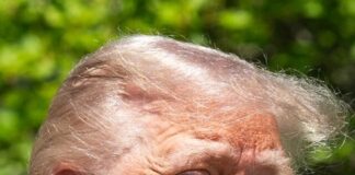 Trump $1,000 baby funds: Are you on the list?