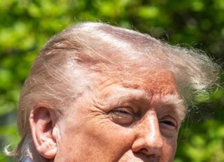 Trump $1,000 baby funds: Are you on the list?