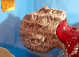 Chilling simulation shows what actually happens to your body when you die