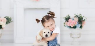 Doctors said their boy would never walk—until a golden retriever did the unthinkable