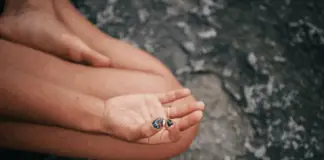 Gyan Mudra benefits revealed: How this ancient hand gesture can boost your mind and body