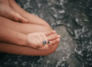 Gyan Mudra benefits revealed: How this ancient hand gesture can boost your mind and body