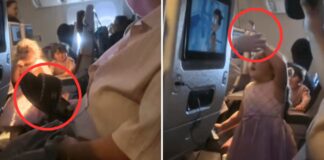Little girl stabs plane passenger with fork — gets shoe threat in return