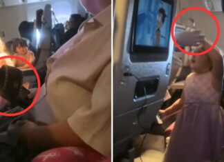 Little girl stabs plane passenger with fork — gets shoe threat in return