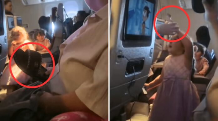 Little girl stabs plane passenger with fork — gets shoe threat in return