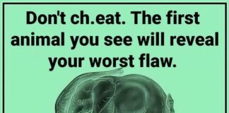 The first animal you spot in this visual reveals your ‘worst flaw’