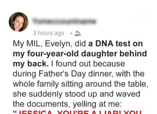 Mother-in-law tried to ruin our family dinner with a lie