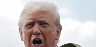 Trump fires back with blunt 6-word statement after Epstein photos resurface