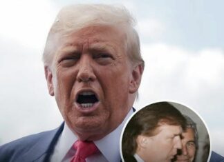 Trump fires back with blunt 6-word statement after Epstein photos resurface