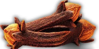 The ultimate guide to cloves: Benefits, uses, and common mistakes