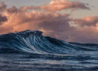 Volcano erupts amid chaos after massive 8.8 earthquake hits Russia’s Far East