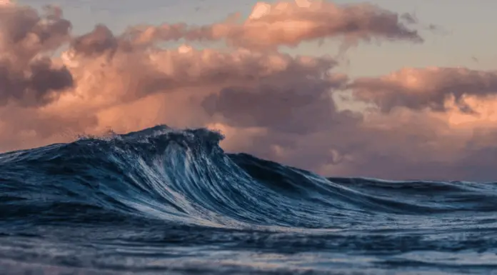 Volcano erupts amid chaos after massive 8.8 earthquake hits Russia’s Far East