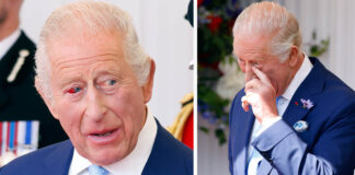 New picture of King Charles raises concerns about his health