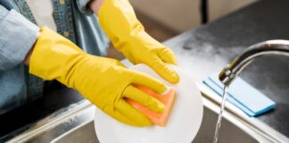 They laughed at her — then the billionaire’s wife spoke up and the elite panicked