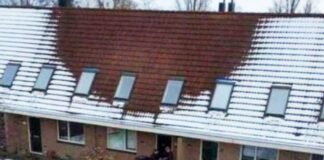 Strange goings-on at neighbor’s roof spark reports from Dutch village residents