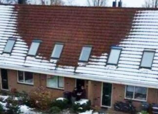 Strange goings-on at neighbor’s roof spark reports from Dutch village residents