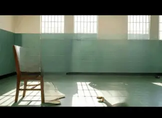 Man’s final wish to see his dog before execution leads to an unforgettable moment that changed everything