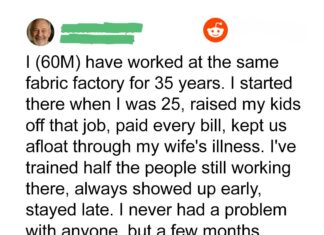 After 35 years of loyalty, I was fired—and the reason left me in shock