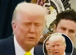 Donald Trump cuts speech short amid medical emergency