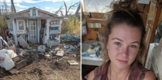 Recently divorced woman moves into 10’x11′ shed and coverts it into lovely tiny home