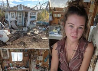 Recently divorced woman moves into 10’x11′ shed and coverts it into lovely tiny home