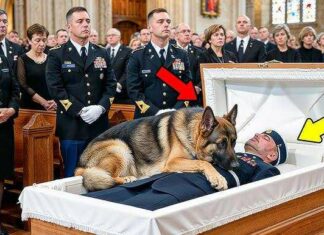 Military dog wouldn’t get off soldier’s casket