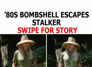 80s movie bombshell unrecognizable after quitting fame and escaping stalker nightmare! Can you guess who?