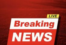 Millions at Risk? Common Drug Linked to Significant Rise in Dementia Cases