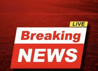 Millions at Risk? Common Drug Linked to Significant Rise in Dementia Cases