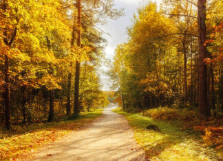 Grandma’s final photo of granddaughter minutes before she’s killed