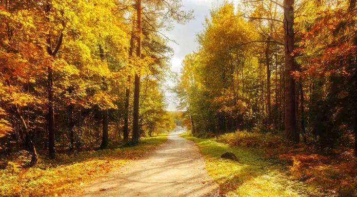 Grandma’s final photo of granddaughter minutes before she’s killed
