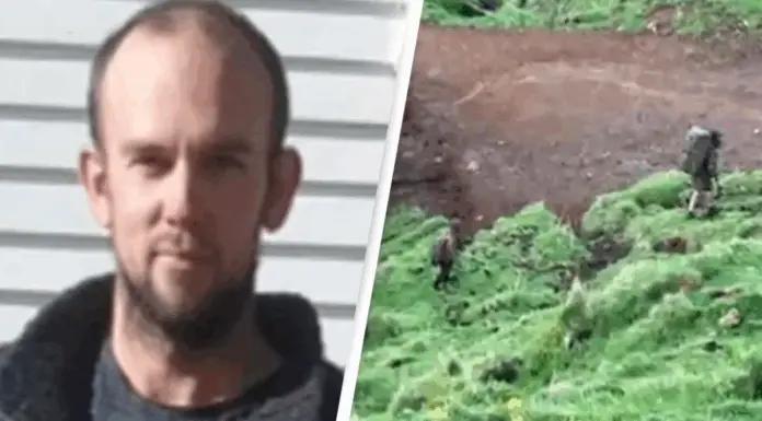 Heartbreaking update on children who vanished with father four years ago and were spotted by hunters