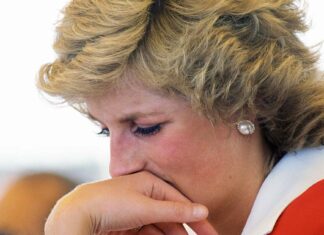 Why Diana spent her last Christmas alone with reheated meal