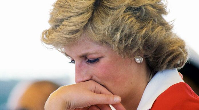 Why Diana spent her last Christmas alone with reheated meal
