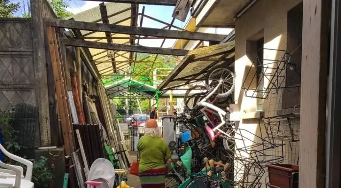 I found my daughter living in a 104°f garden shed — what I did next left her in-laws speechless