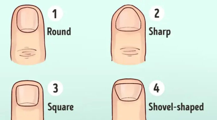 The shape of your fingertips reveal your true personality