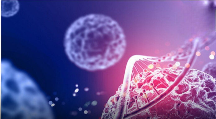 Claim: a juice regimen reportedly cleared can:cer cells in 42 days