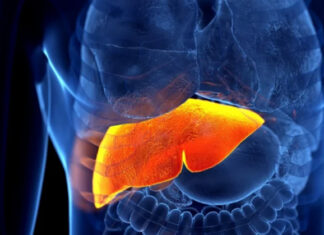 Science backs it up: 3 fruits that fight fatty liver, regulate sugar and cholesterol