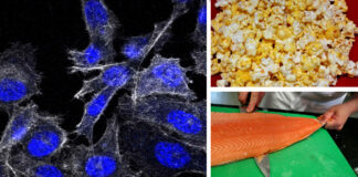 Health experts warn you to stop eating these 8 foods linked to cancer