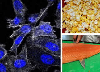 Health experts warn you to stop eating these 8 foods linked to cancer