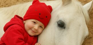 My 2-year-old girl loved playing with the neighbor’s horse, but then we found out something shocking